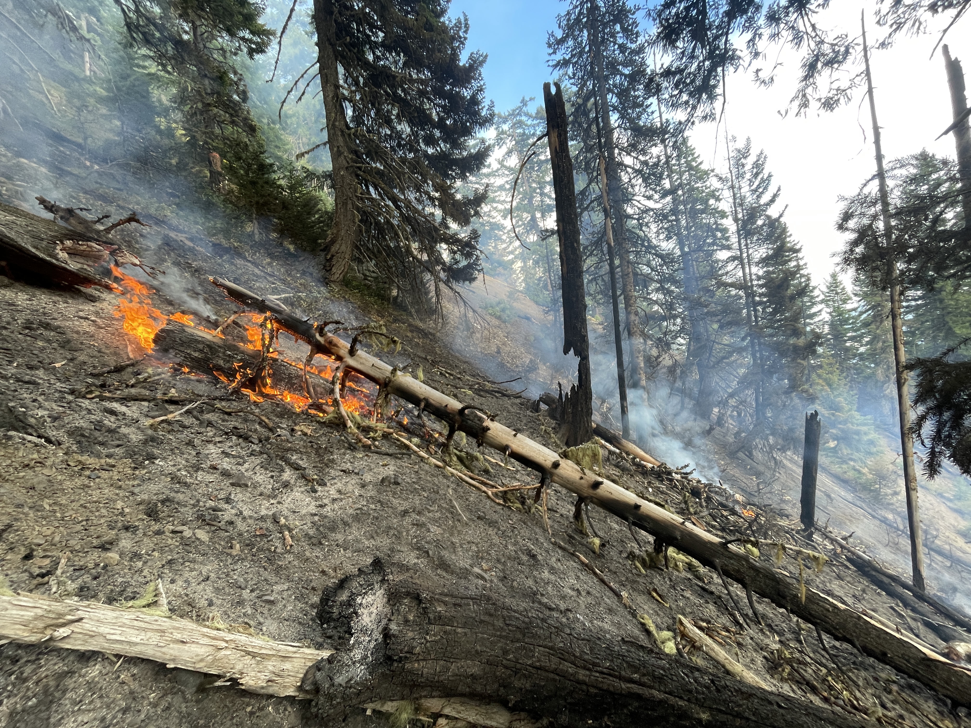 A log burns on a steep hillside with smoldering trees and logs around it.