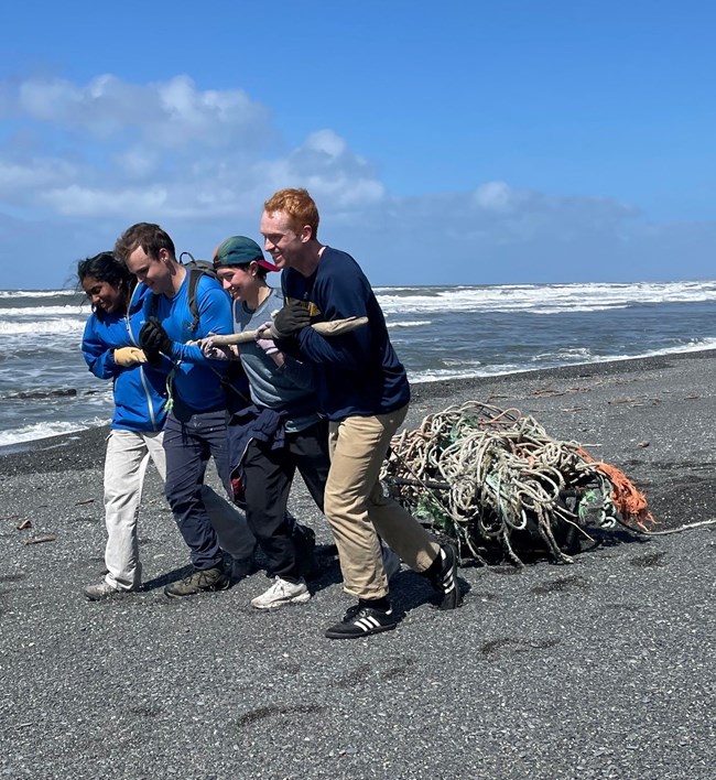 Four volunteers pulling ocean trash during a beach clean-up.