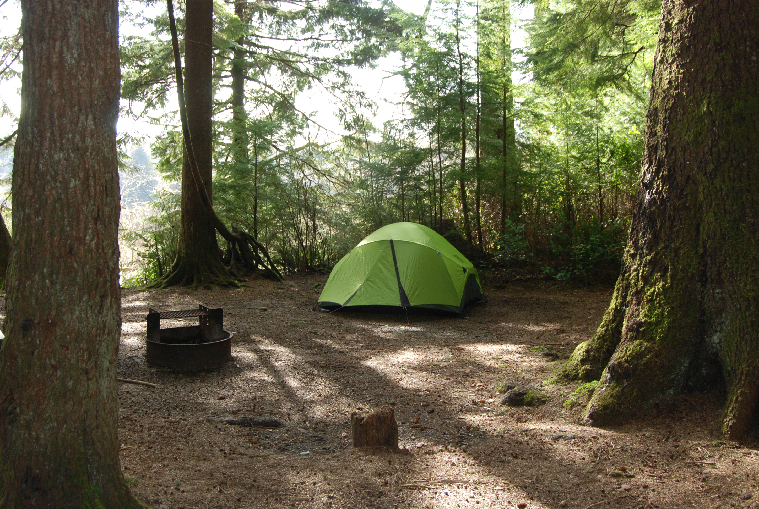 A tent set up in a forested campsite.