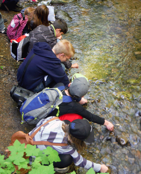 students exploring a creek
