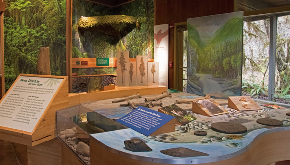 New Interpretive Exhibits at Hoh Rain Forest Visitor Center Hands-on exhibits in the Hoh Rain Forest Visitor Center
