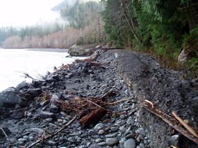 damage to Quinault South Shore Road