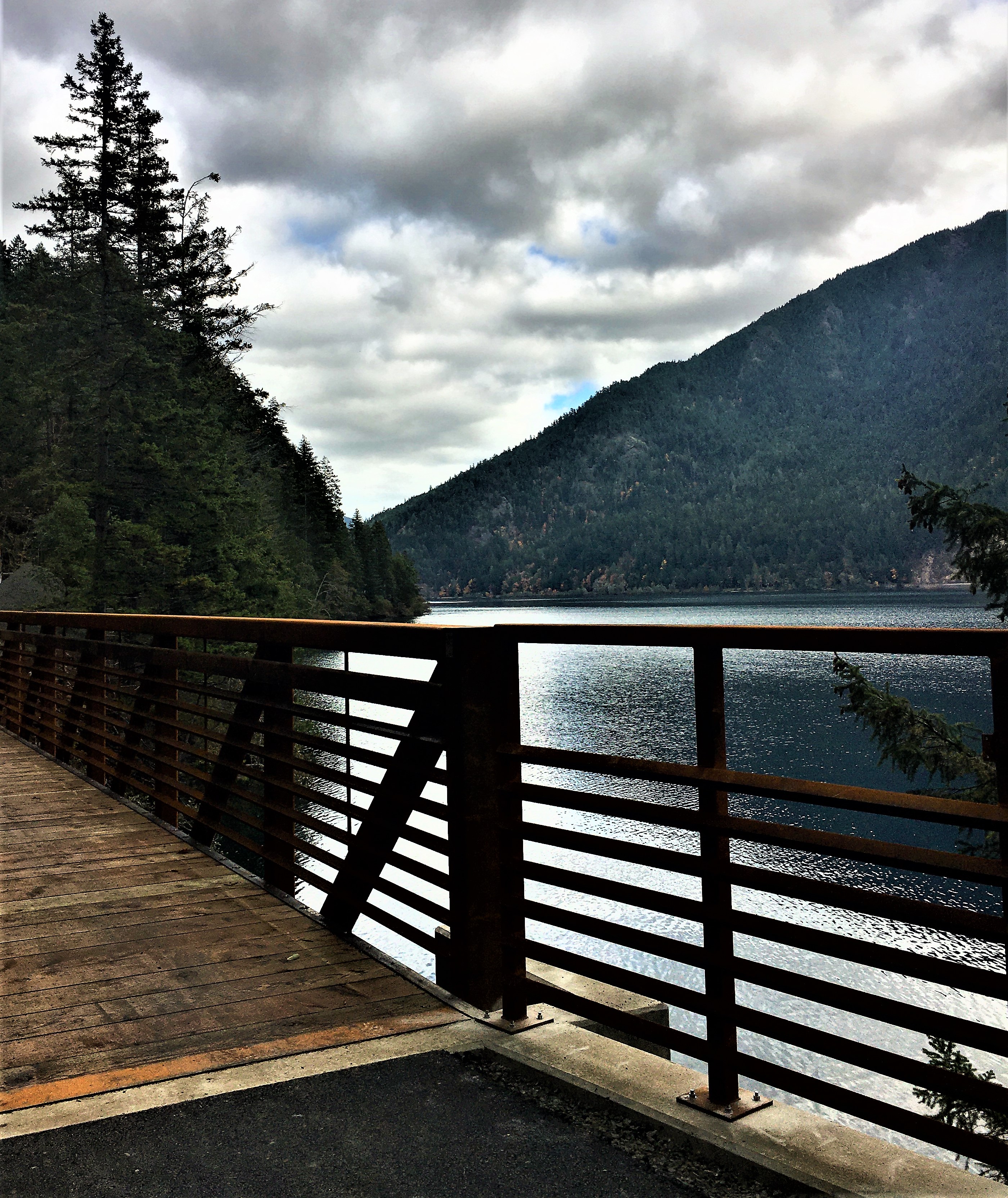 A paved trail with a bridge next to a lake.