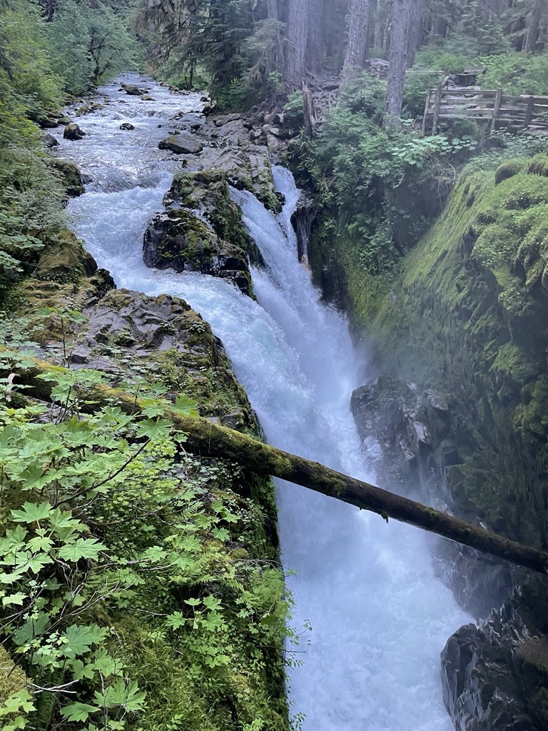 Sol Duc Falls 6-10-25. The target area is just downstream, out of frame. A river cascading over gray rocks cuts through the middle of the image. The water is flowing into a narrow canyon with moss-covered walls. A tree staddles the canyon in the lower half of the image. A fence and trees fill the top right corner of the image.
