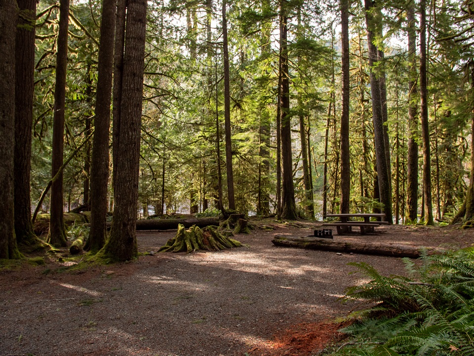 A campsite in a wooded area with a picnic table.