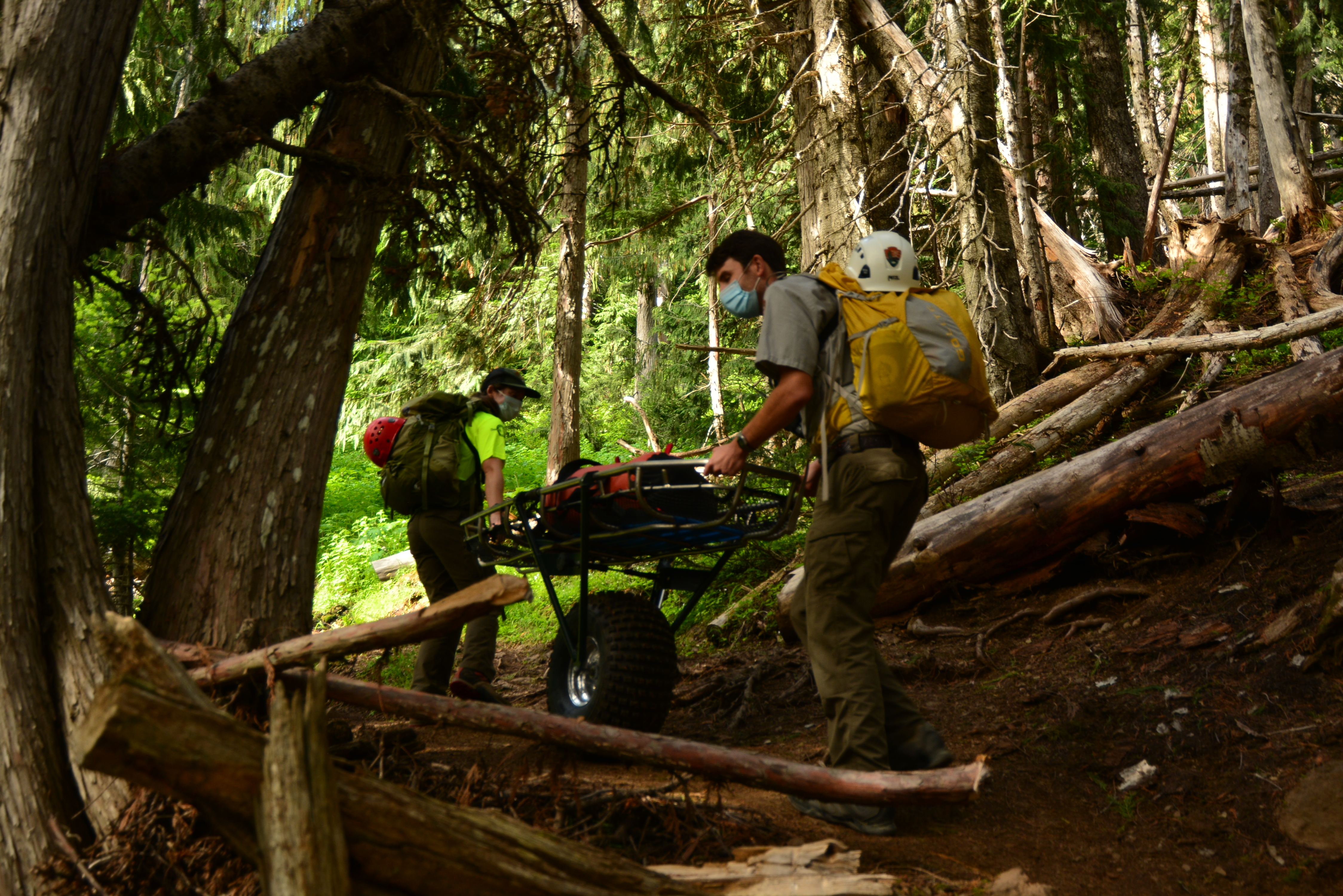 Two park rangers hauling a wheeled litter up a steep, forested trail.
