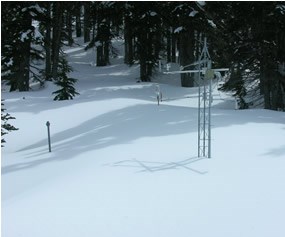weather instruments in snow-covered forest clearing weather instruments in snow-covered forest clearing