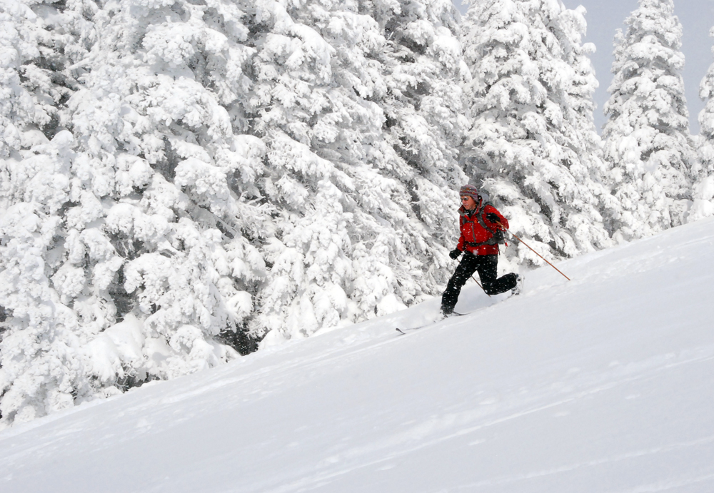 person skiing