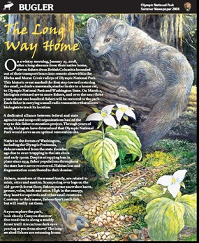 Bugler 2008 frontpage