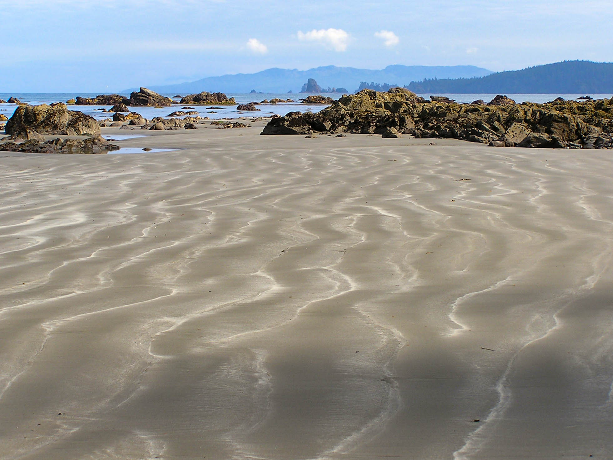 Cape Alava Waving lines of sand on a beach.