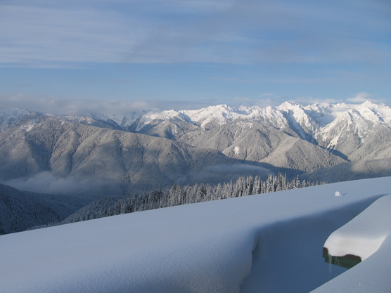 view from Hurricane Ridge webcam