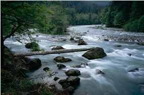 river flowing among boulders