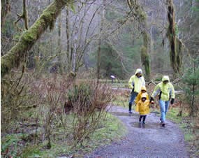 family in raincoats walking through woods
