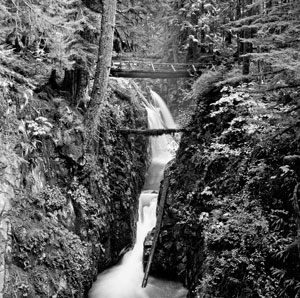 black and white image of Sol Duc Falls