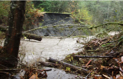 river flowing where road used to be