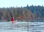 a lone kayaker paddles on lake ozette