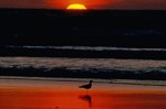 sunset over ocean