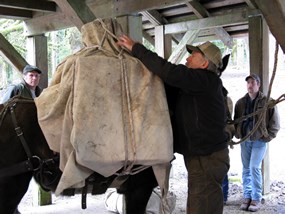 man loading pack onto mule