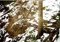 trail disappear under landslide