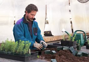 Matt Albright working in park greenhouse