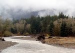 queets river