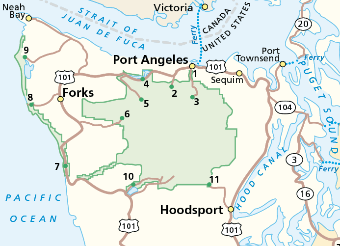 A map of the Olympic Peninsula with Highway 101 and certain areas in Olympic National Park indicated.