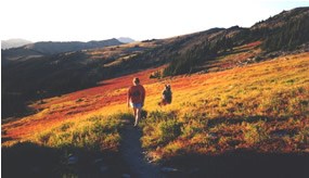 hikers in mountain meadow with red, orange and yellow fall colors