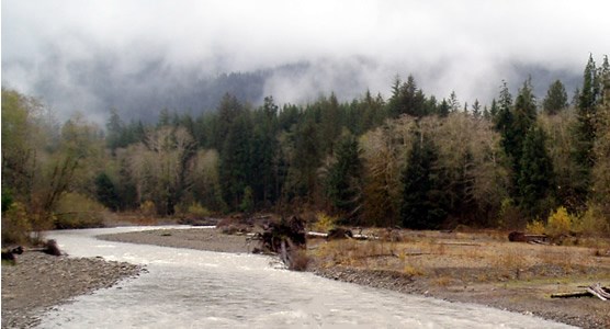 Queets River