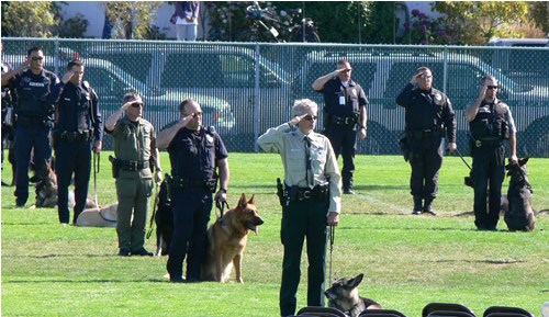 uniformed police saluting; s police dog sitting next to each officer