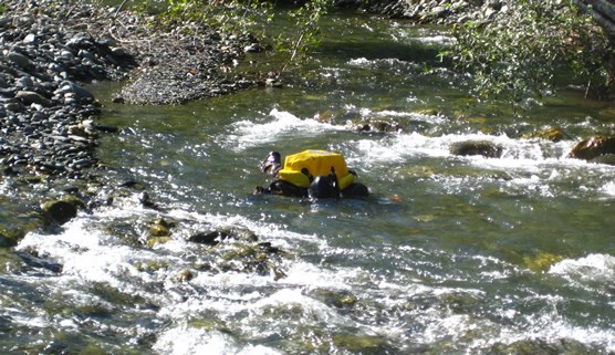 person wearing snorkel gear in shallow river