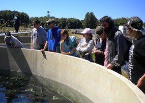 A group of high school students looking into a holding tank at the Lower Elwha Klallam Tribe fish hatchery.