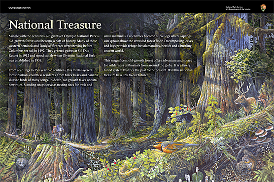 exhibit image and text