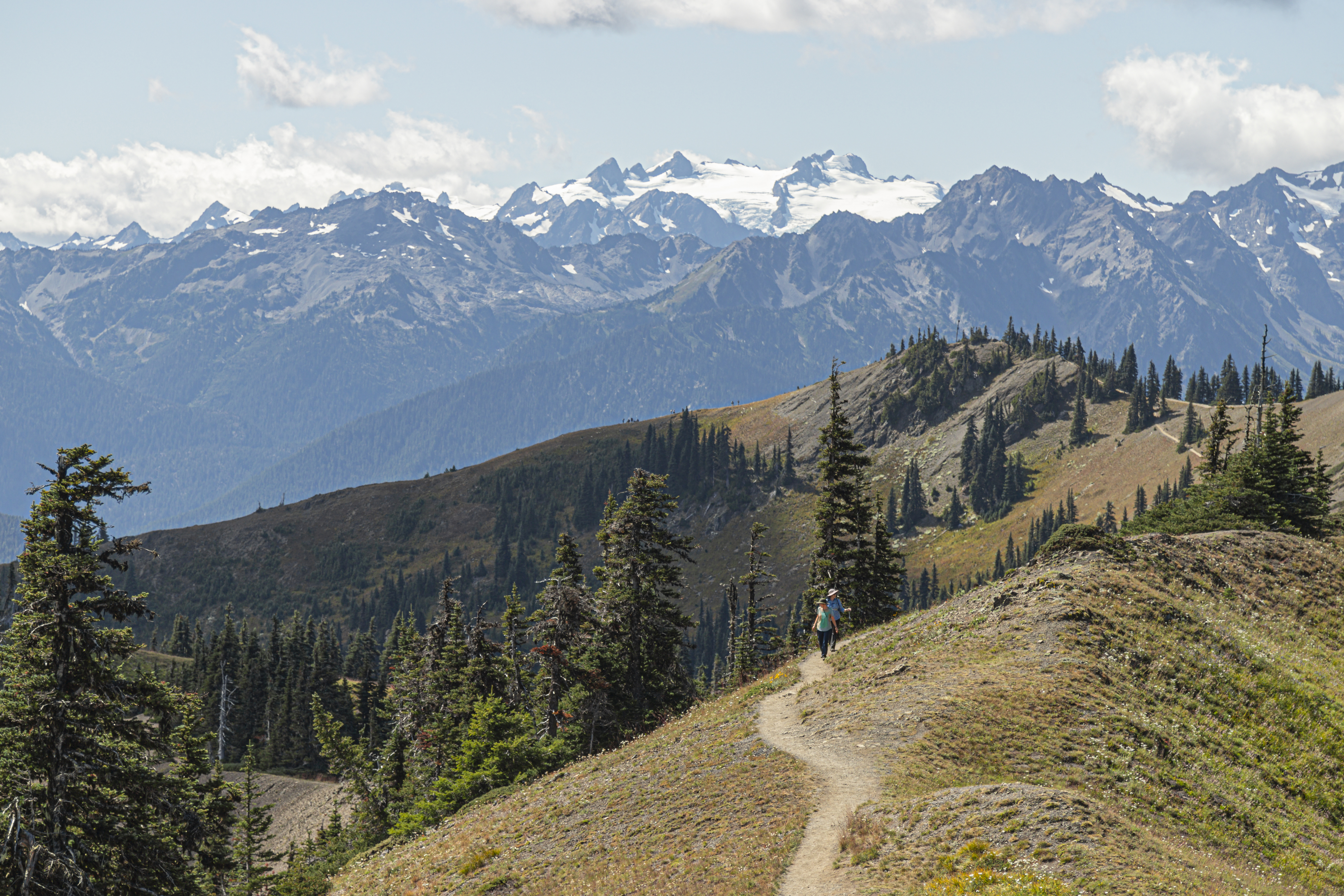Two hikers follow a ridge trail flanked by green meadows and conifer trees. Rugged peaks fill the background.