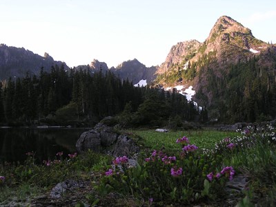 Mt. Bretherton & Heather