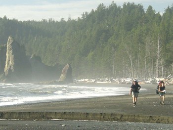 Backpackers on the Wilderness Coast