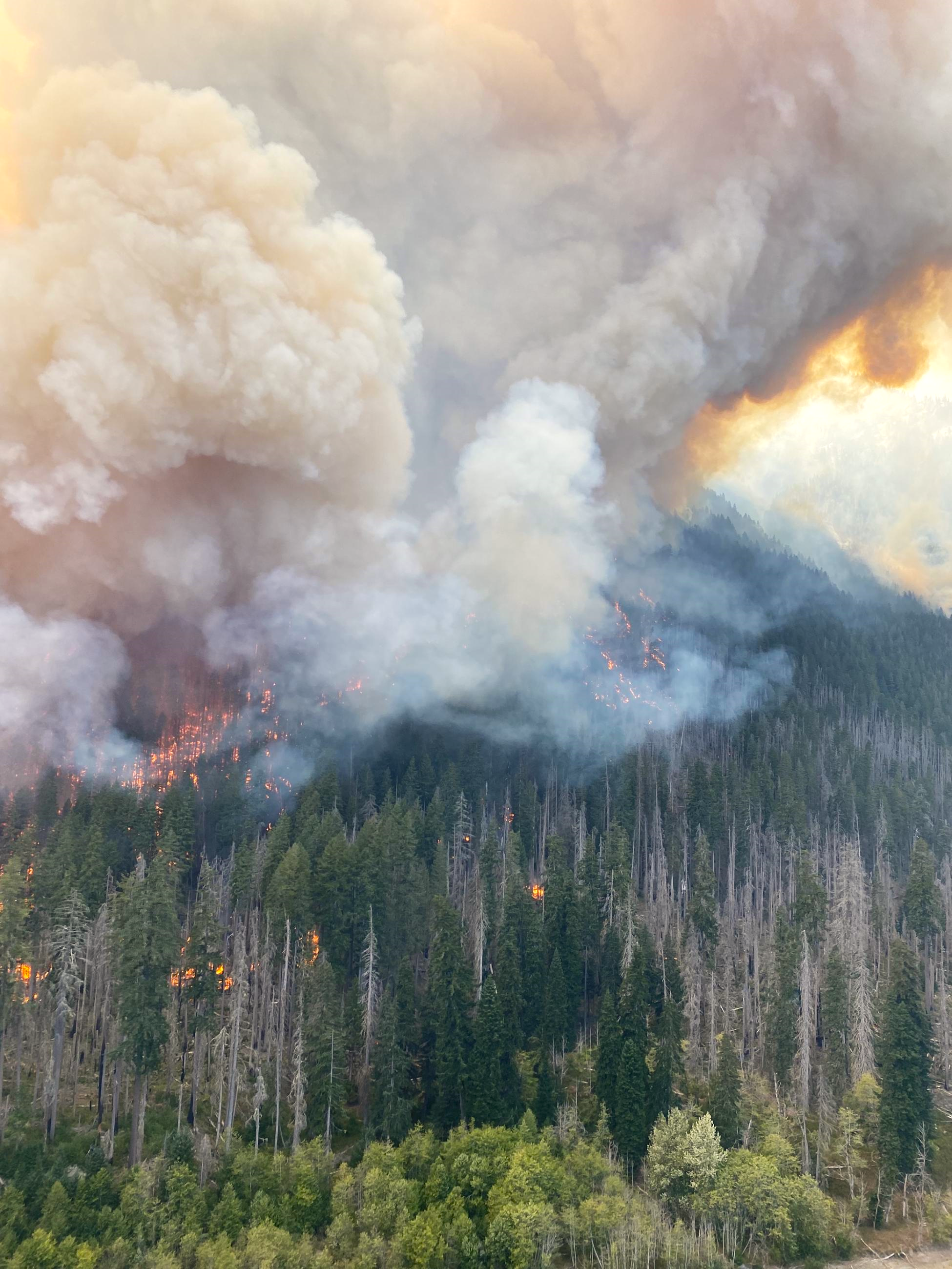 A mountainside with flames and a large smoke plume.