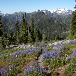 View from Dodger Point