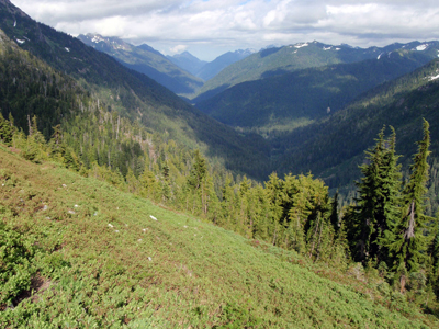 A view of the Duckabush River valley as seen from above on a meadowy slope. The valley below is heavily forested.