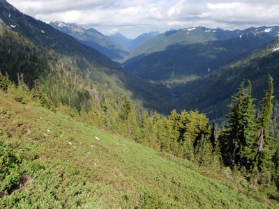 Duckabush River Valley