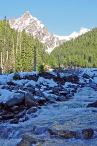 East Fork Quinault River with trees and mountain in background East Fork Quinault River with trees and mountain in background