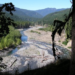 Elwha Valley South of Lake Mills