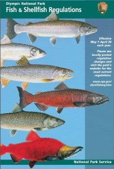 An illustration of six different fish species, and text that reads "Olympic National Park Fish & Shellfish Regulations"