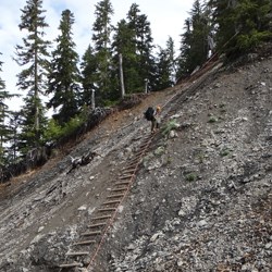 Glacier Meadows avalanche chute