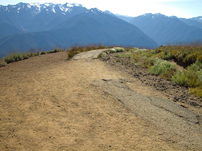 Damaged pavement on Hurricane Hill Trail