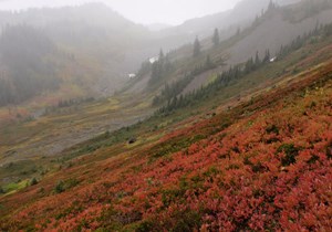 Hayden Pass West Side