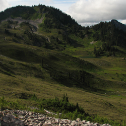 The meadowy slopes of Heart Lake basin.