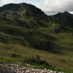 The meadowy slopes of Heart Lake basin.