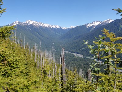 Hoh Valley-Bailey Range