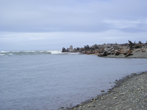 The mouth of the Hoh River. The river section is calm, and waves break in the ocean. Large driftwood logs lie on the rocky beach that makes up the mouth of the river.