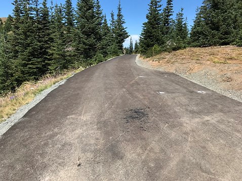 A wide, paved trail in subalpine terrain.